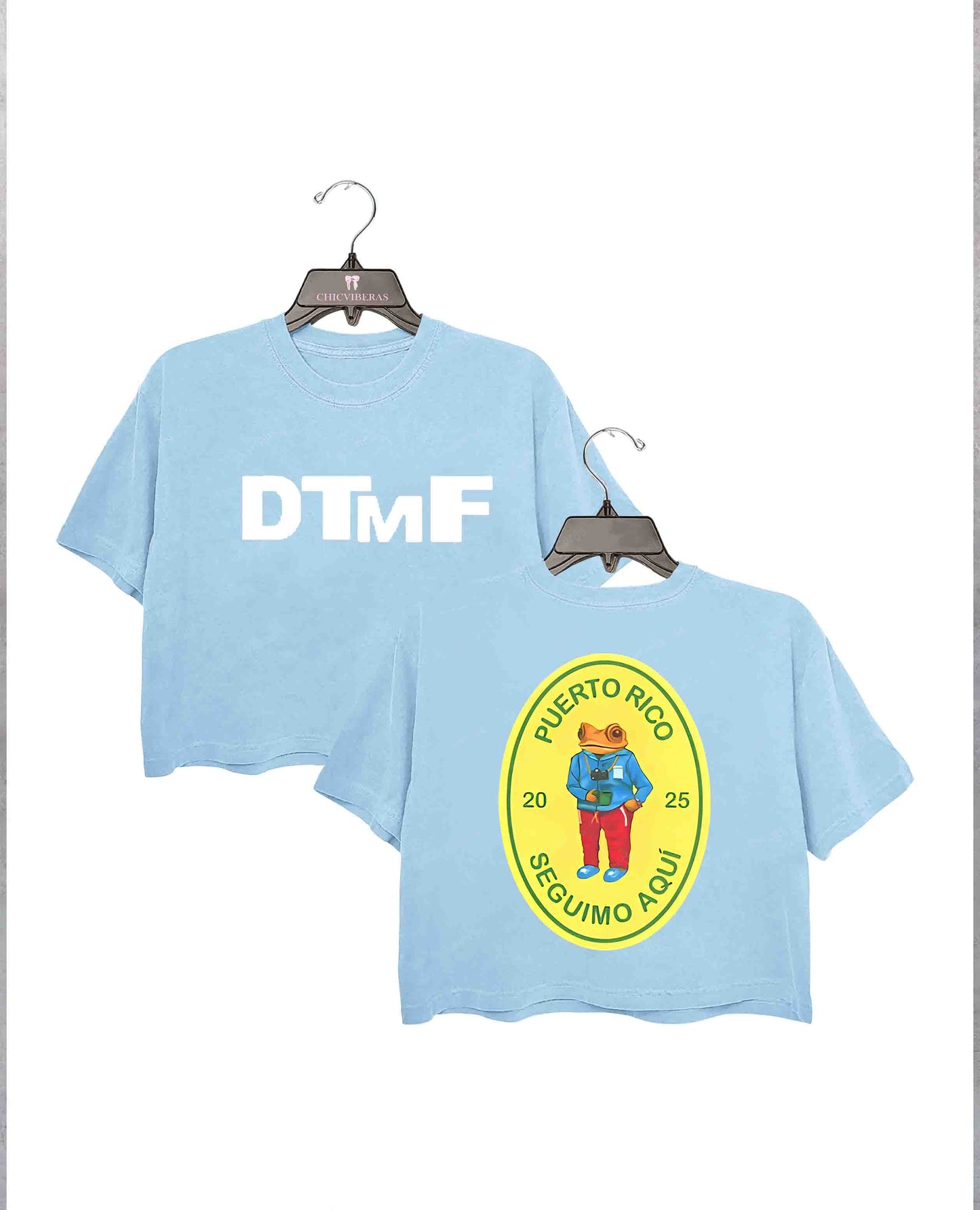 I Should Have Taken More Photos Bad Bunny Crop Shirt