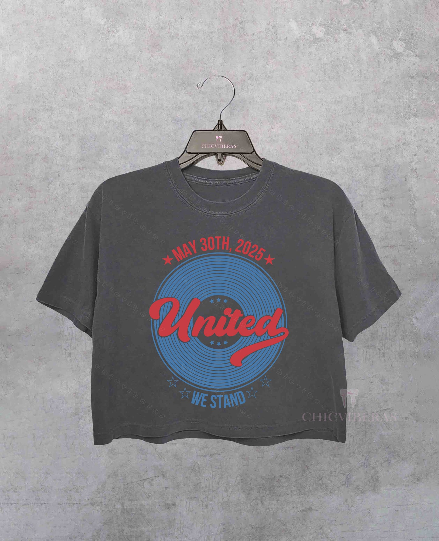 Taylor Inspired United We Stand Crop Shirt