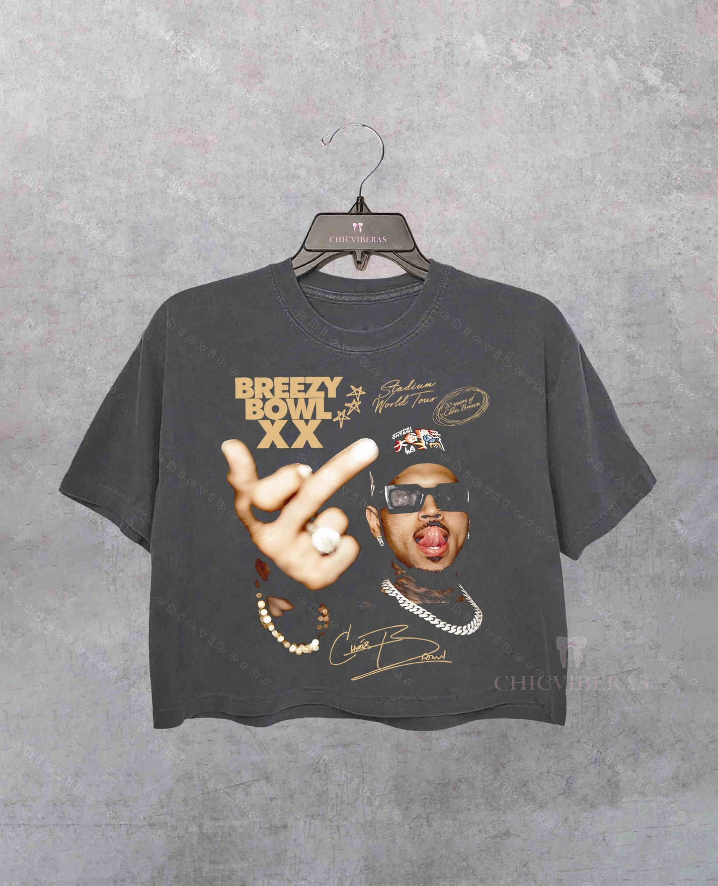 Chris Brown Tour Breezy Bowl XX Music Tour Crop Shirt