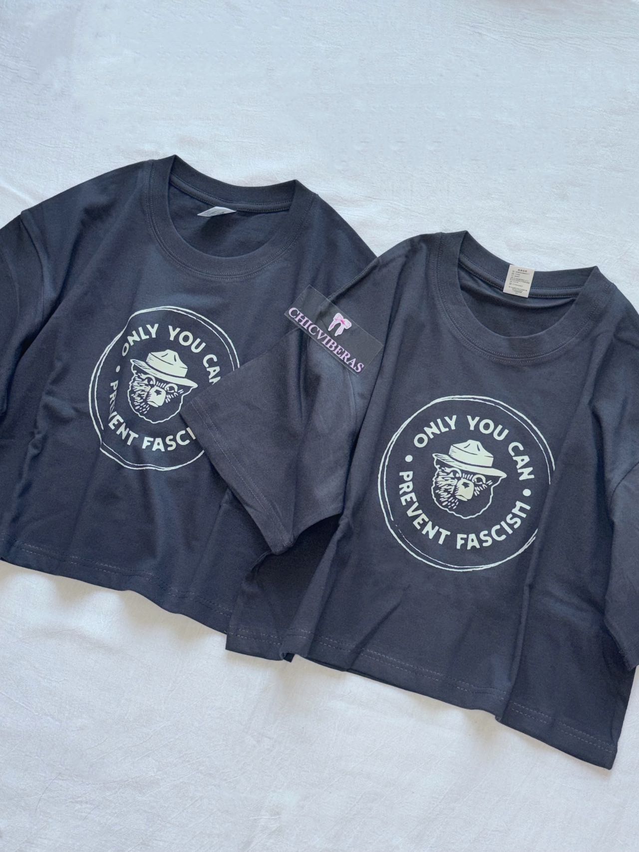Only You Can Prevent Fascism National Park Bear Crop Shirt