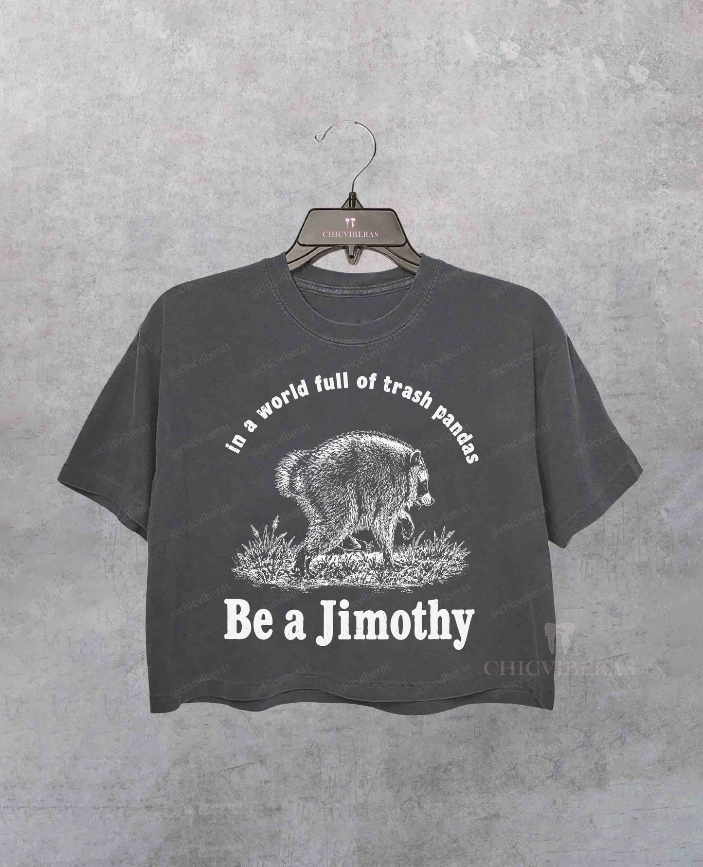 Be A Jimothy Raccoon In A World Full Of Trash Pandas Crop Shirt