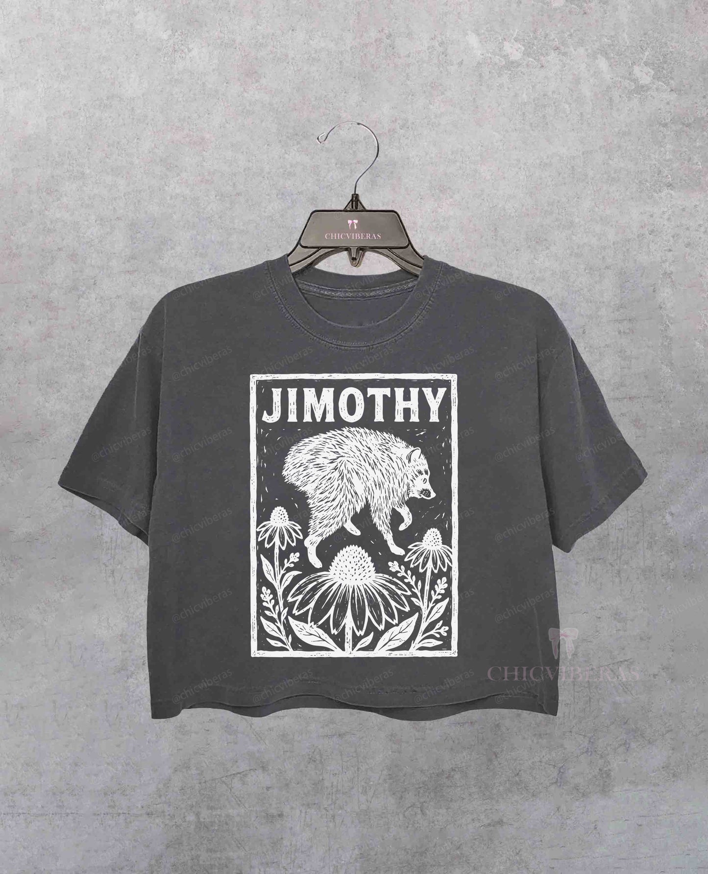 Trendy Raccoon Meme Crop Shirt