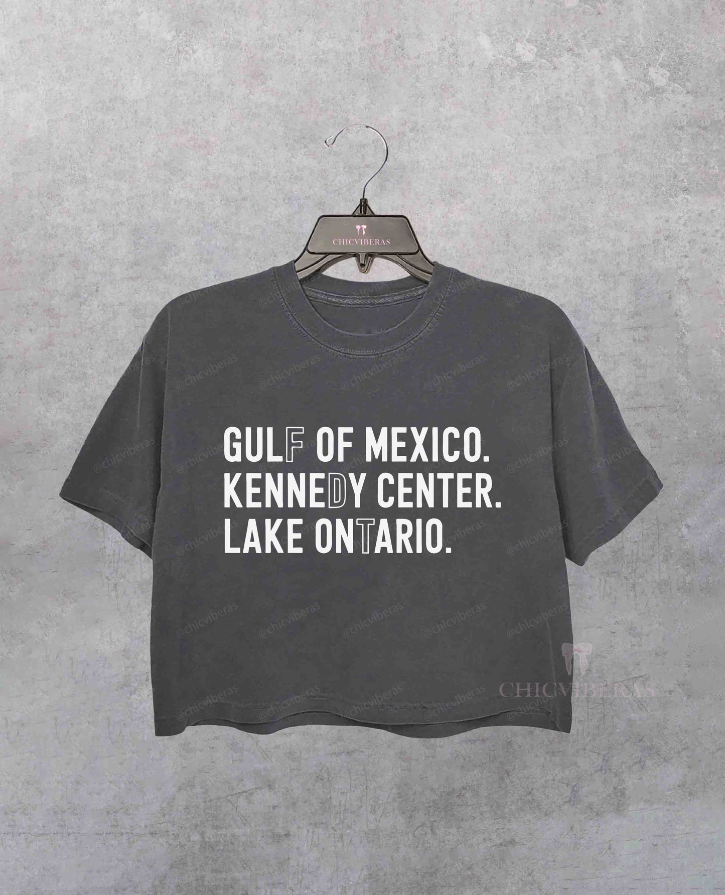 Lake Ontario Gulf Of Mexico Social Justice Crop Shirt