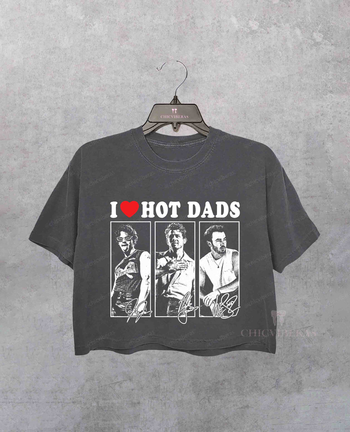 Vintage I Heart Hot Dads JB Band Tour Crop Shirt