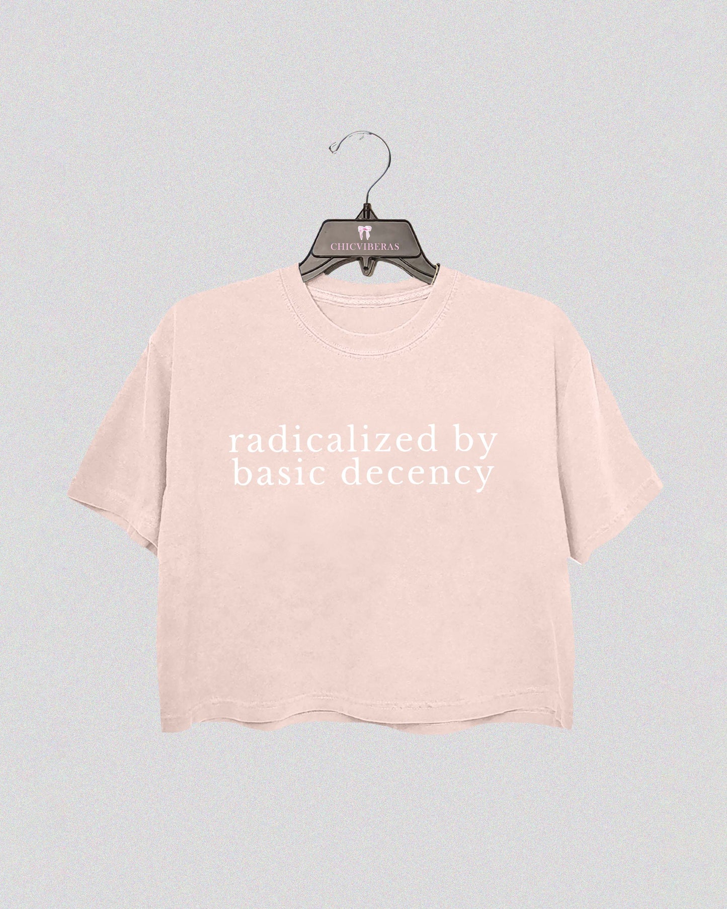 Radicalized By Basic Decency Social Justice Crop Shirt