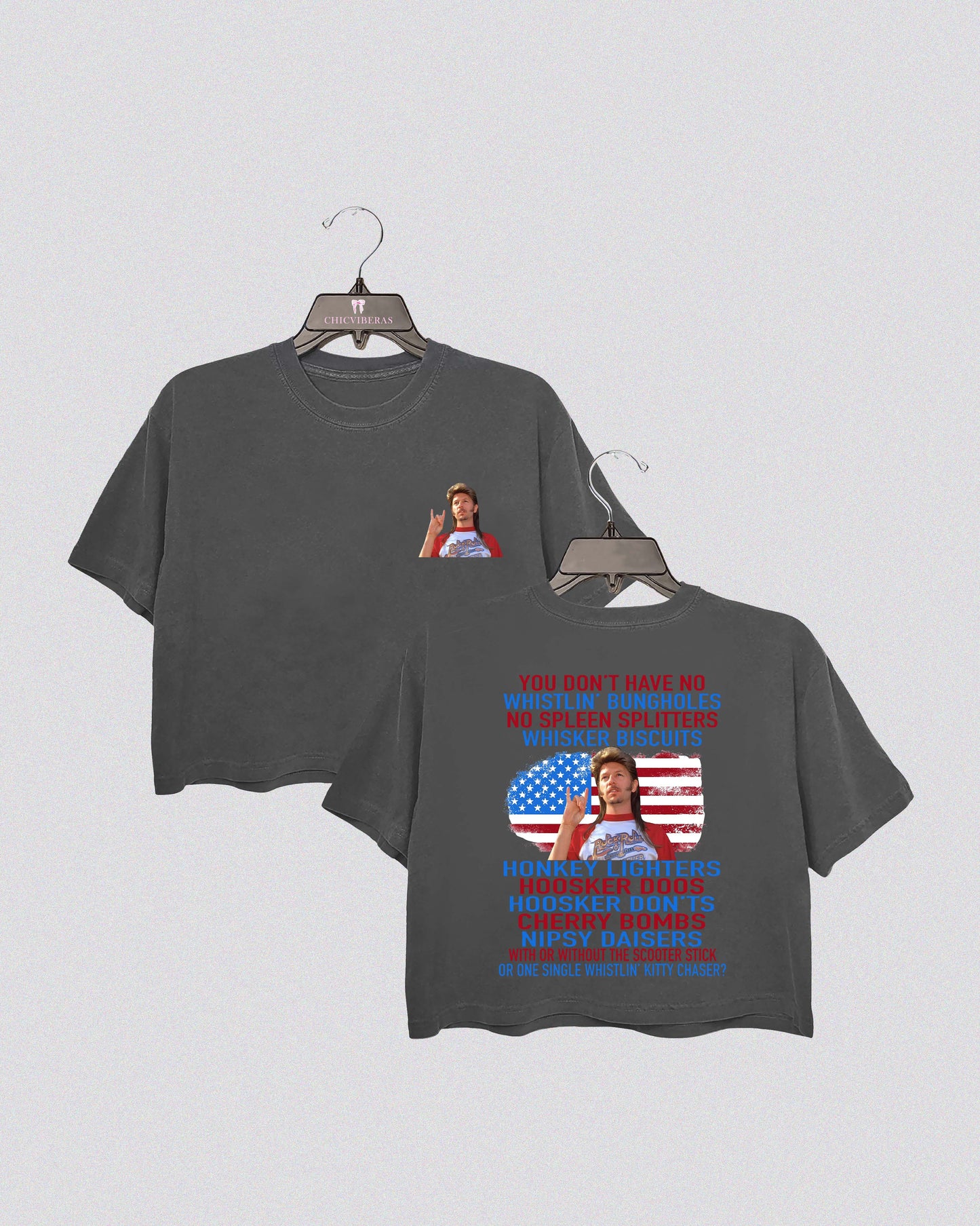 Joe Dirt Merica July 4th Crop Shirt