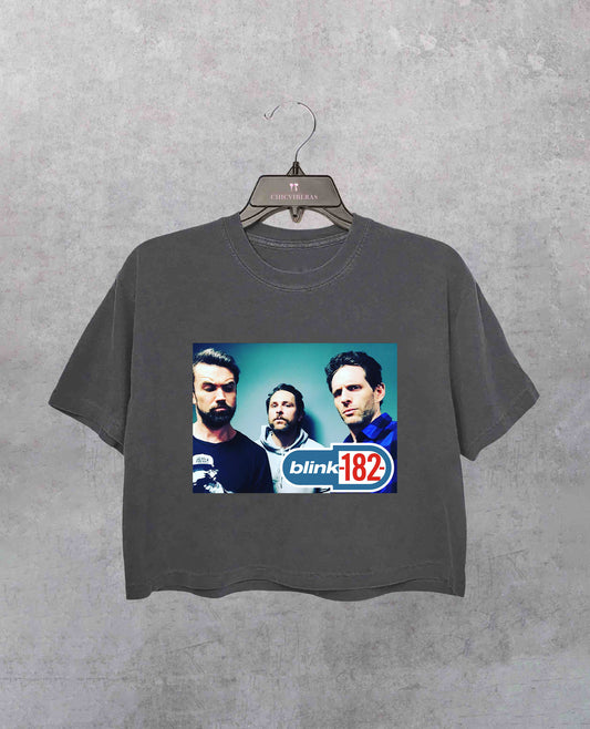 It's Always Sunny In Philadelphia Blink 182 Crop Shirt