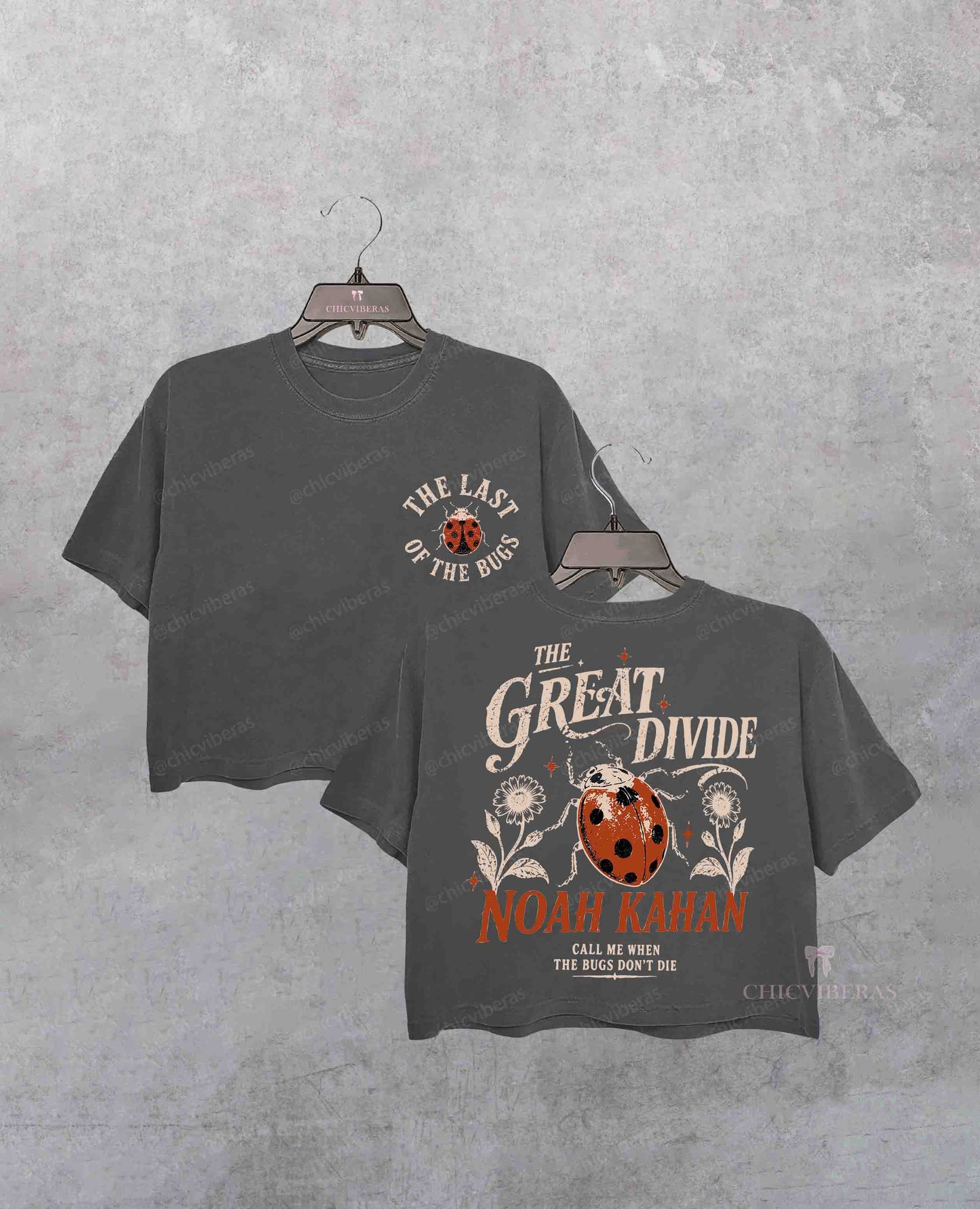 Noah Kahan The Divide Tour rop Shirt