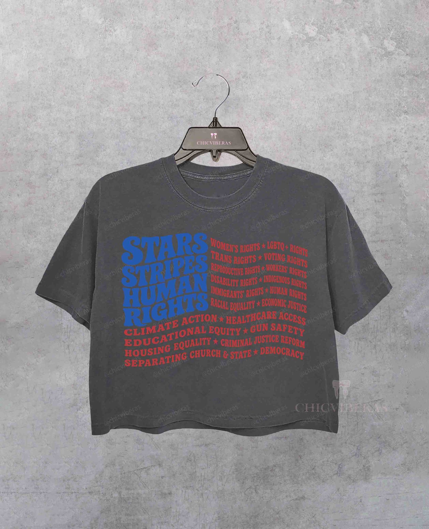 Stars and Stripes and Human Rights USA Flag Crop Shirt