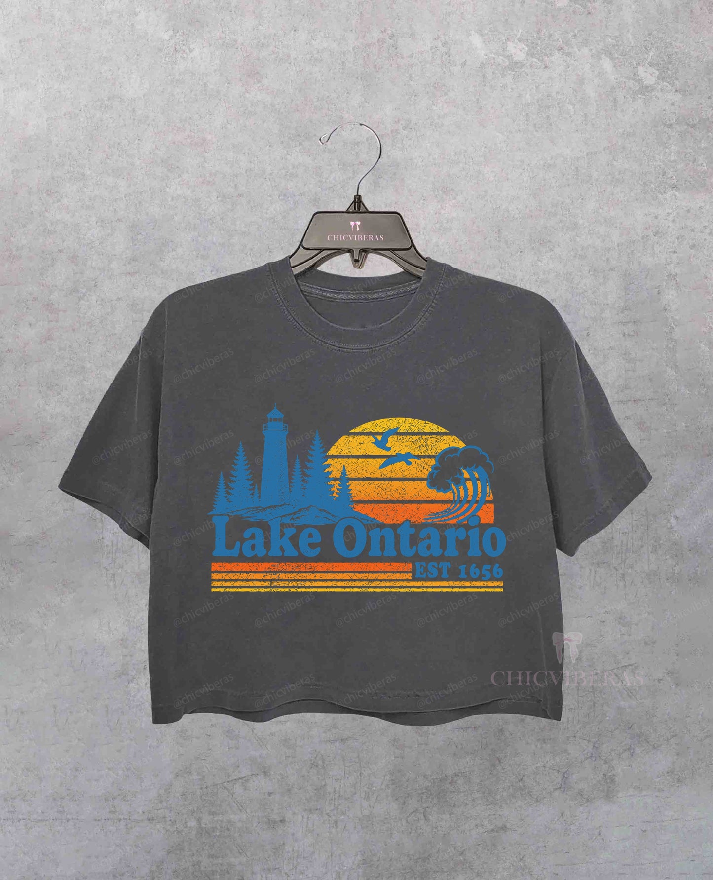 Vintage Lake Ontario Great Lakes Vintage Quiet Activism Crop Shirt