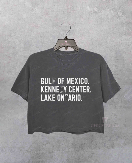 Lake Ontario Gulf Of Mexico Social Justice Crop Shirt