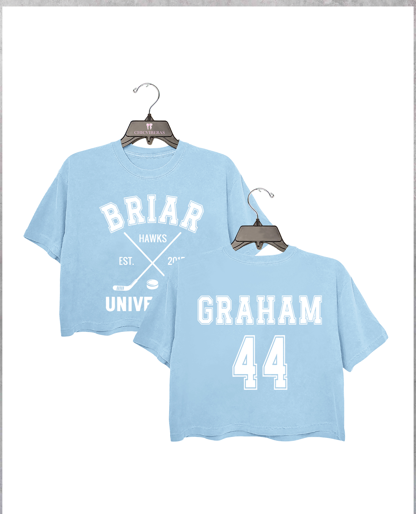 Briar Hockey Off-Campus Hockey Romance Crop Shirt